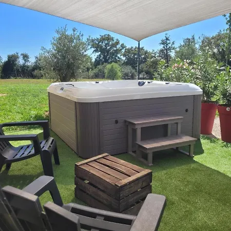 Renove Avec Piscine Couverte Chauffee, Spa, Climatisation Et Equipements Pmr A - Fr-1-489-483 * Couzon