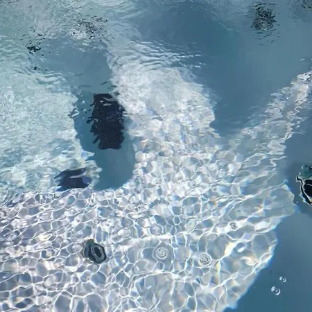 Confortable Avec Piscine Couverte Et A - Fr-1-489-483